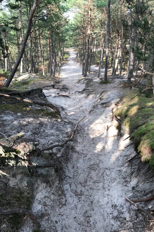 Droga na latarnię Morską w Stilo - odnoga od drogi na plażę