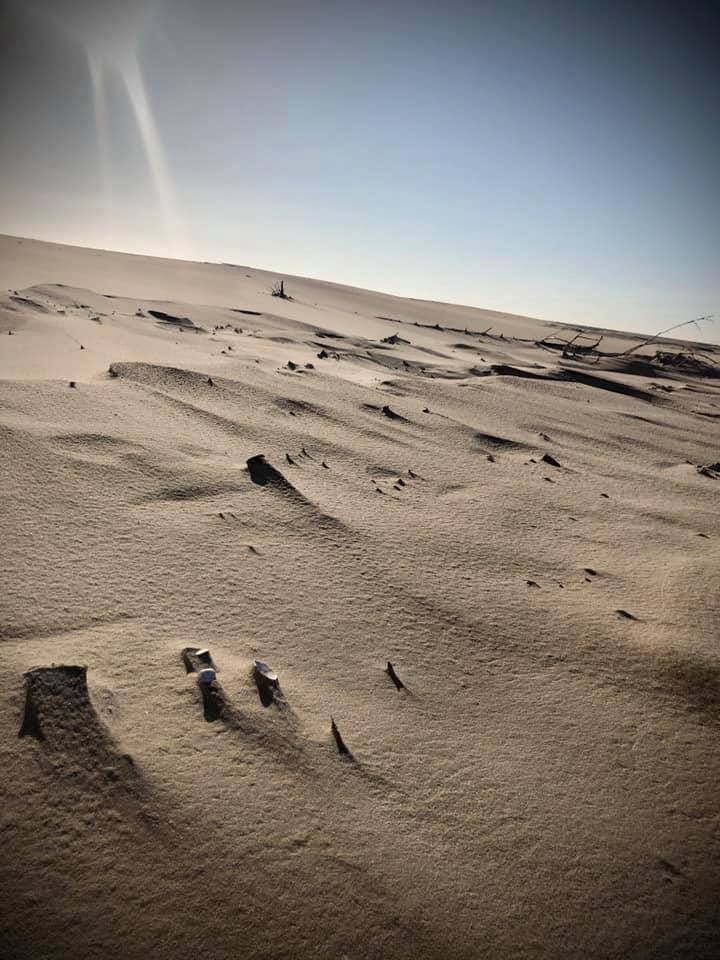 PLaża Stilo - wiatr maluje wzory - źródło Materiały SEAUSASINO