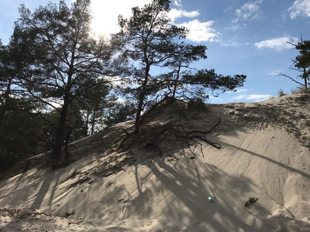 Wydmy Stilo - źródło Materiały SEAUSASINO