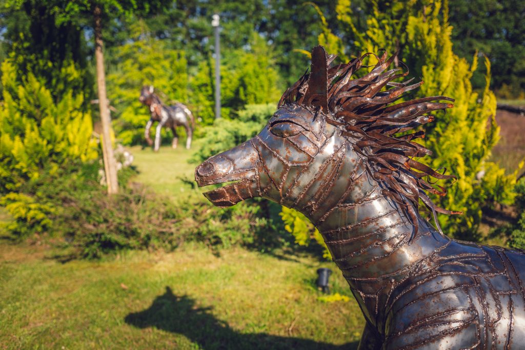 Żelaźni Goście naszego ogrodu