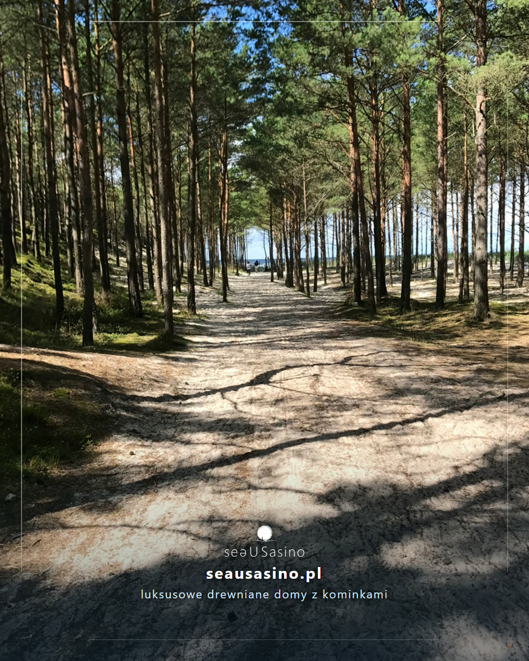 8 SeaUSasino - droga na plażę - wejście koło starego buczka.