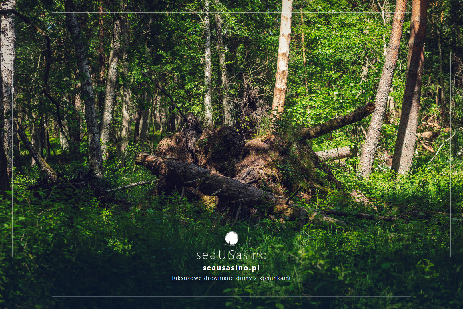 SeauSasino - Ulinia drogą na plażę
