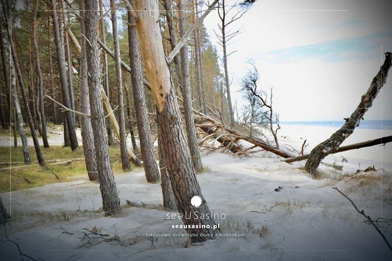 PLaża Ulinia - granica las / morze - źródło Materiały SEAUSASINO