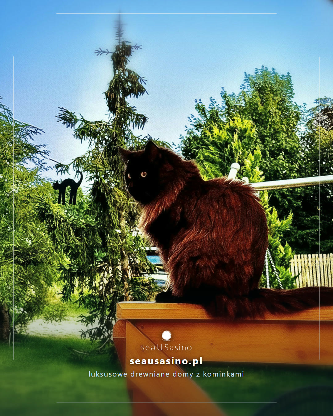 Czarny kot siedzący na balustradzie tarasu — Sasino, SeaUSasino