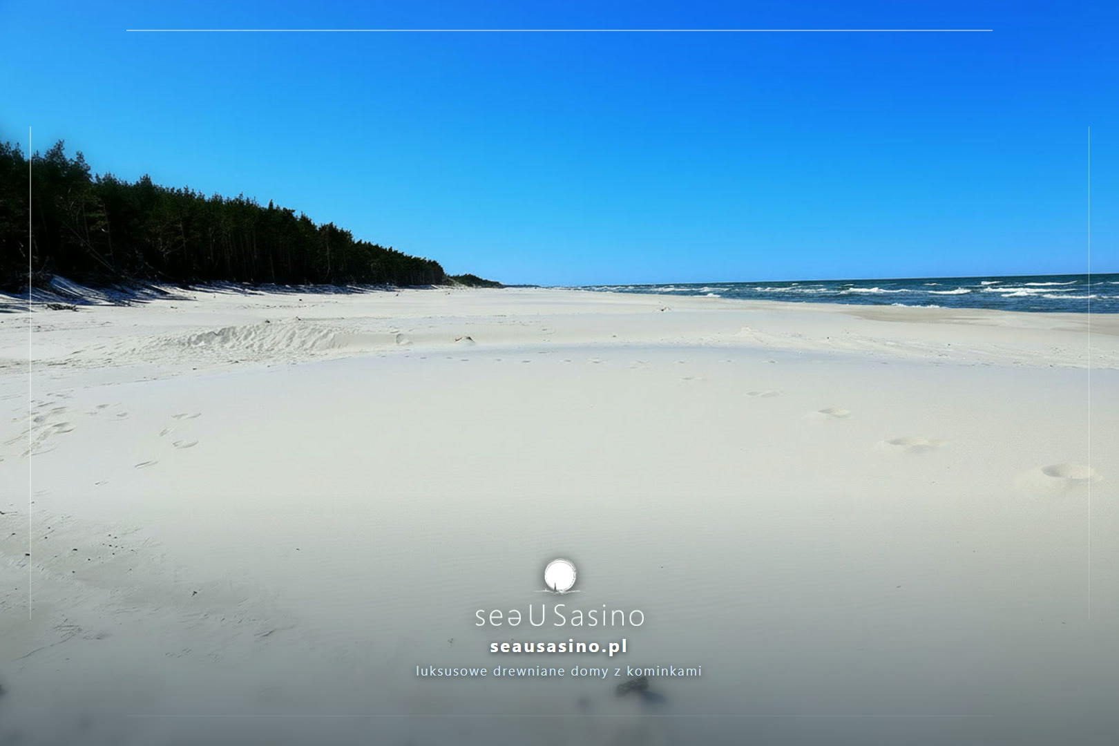 Slady stop na piasku plazy przy lesie — Sasino, SeaUSasino