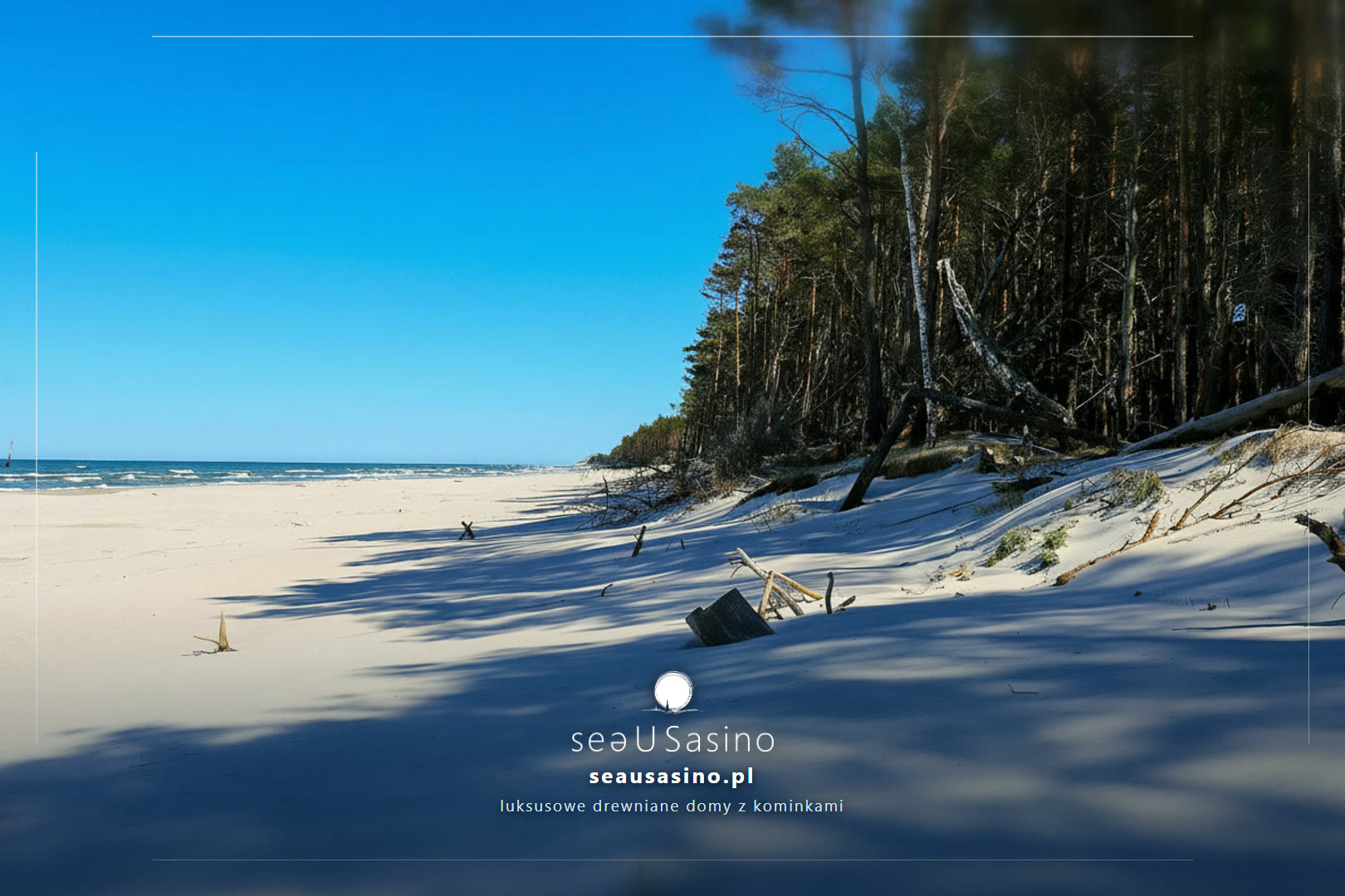 Las schodzacy do plazy z martwym drewnem — Sasino, SeaUSasino