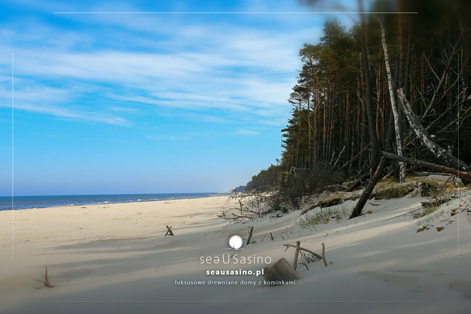 Piaszczysta plaża z lasem i gałęziami — Sasino, SeaUSasino