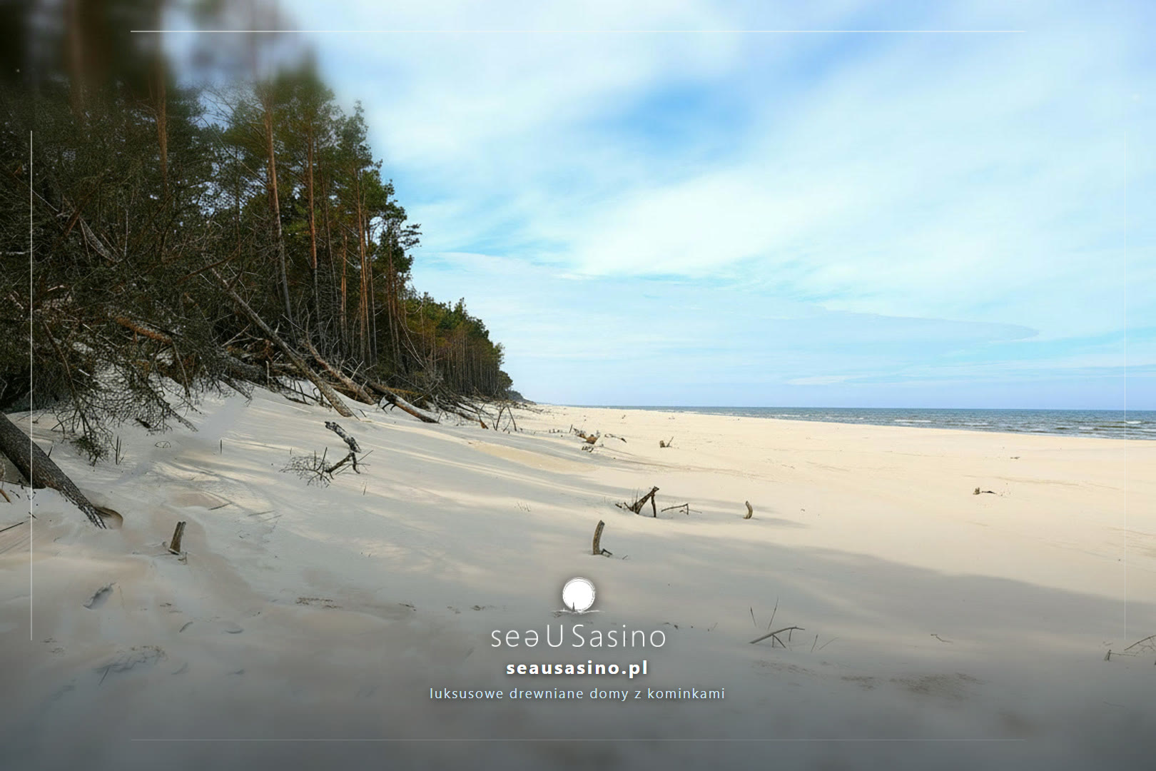Wydmy piaszczyste z lasem w tle — Sasino, SeaUSasino