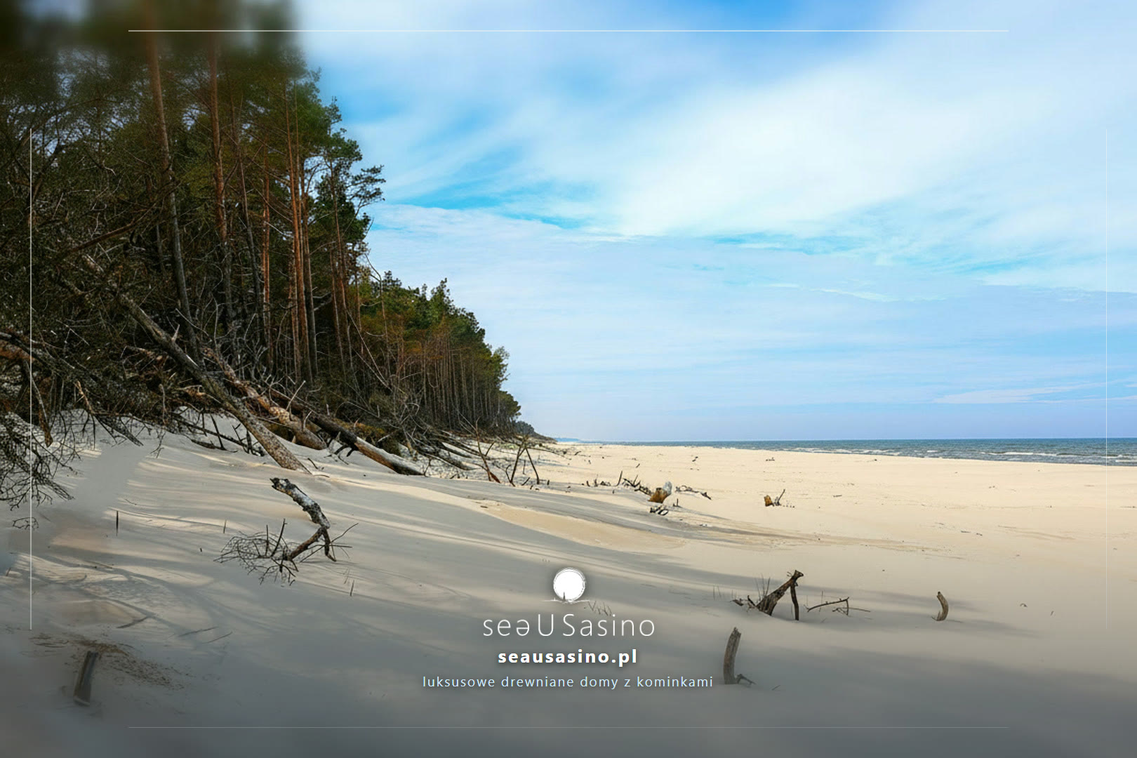 Plaża z lasem sosnowym i powalonymi gałęziami — Sasino, SeaUSasino